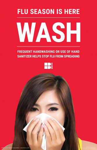 Handwashing Stops FLU Poster, Plastic Laminated