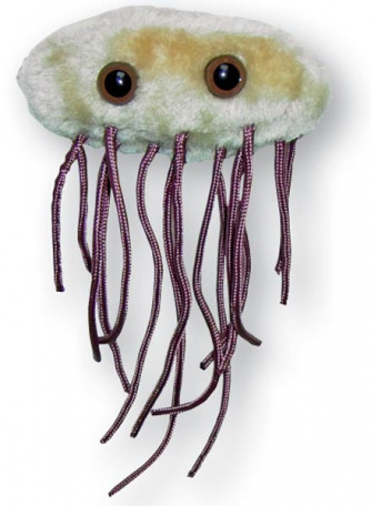 Escherichia.coli (Ecoli) plush microbe.