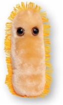 GM.SHIGELLA Stomach Ache Plush Microbe