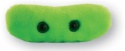 GM.TB Tuberculosis Plush Microbe