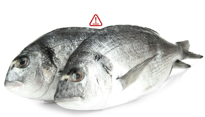 Beware the Daily Catch