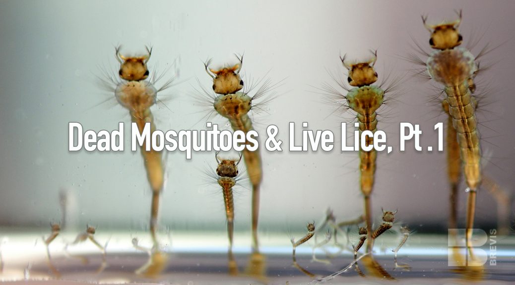 Dead Mosquitoes and Live Lice