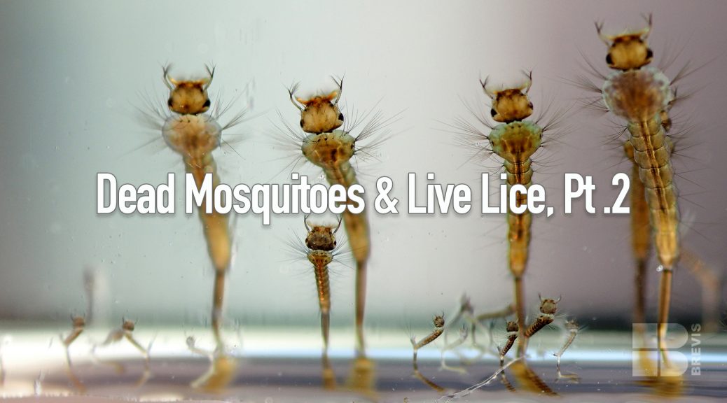 Dead Mosquitoes and Live Lice, Part 2