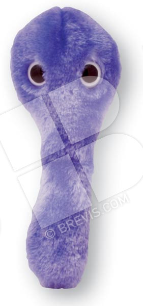 Microorganism stuffed animals shop