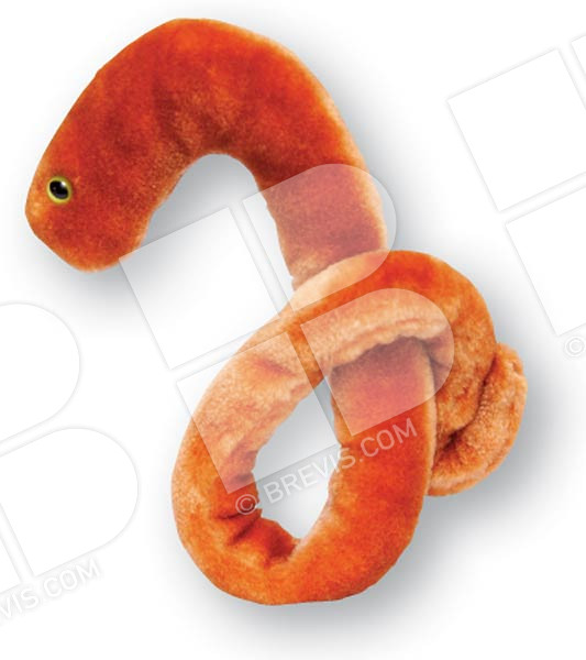 ebola stuffed animal