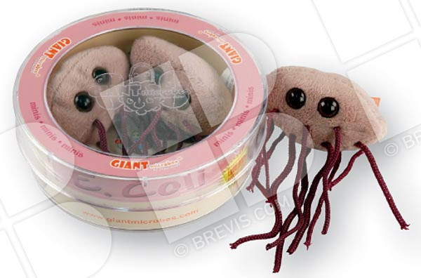 e coli plush