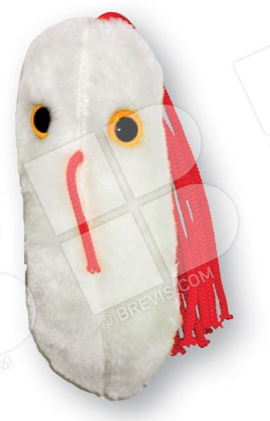 Salmonella store stuffed animal