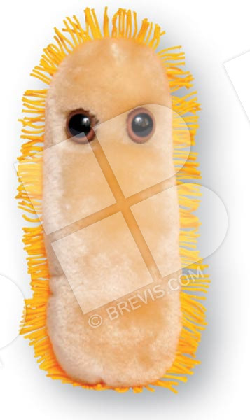 giant microbes measles