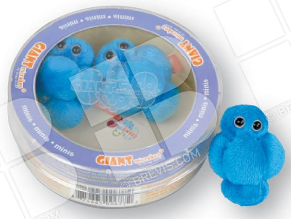 staphylococcus aureus plush