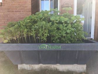 YardFarm® Home Garden