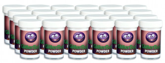 GlitterBug® Powder, small bottle, 24 pack