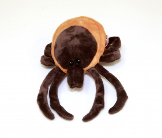 Tick Giant Microbe