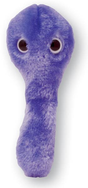 Clostridium difficile (CDIF) plush microbe