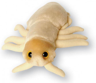 Pediculus capitis Louse (Lice) plush microbe.