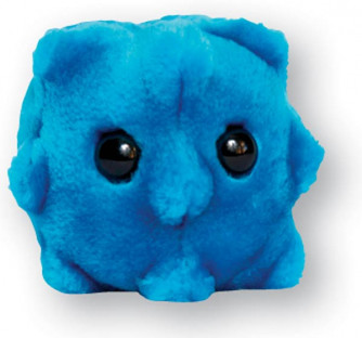 Rhinovirus (The Common Cold) plush microbe.