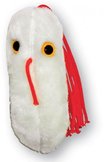 Salmonella typhimurium Plush Microbe.