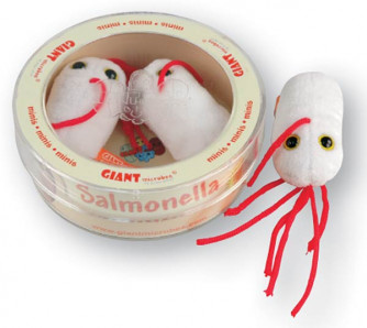 Salmonella MINI MICROBESet of 3 Plush Minis