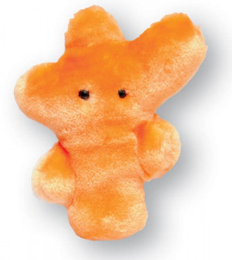 Trichopyton mentagrophytes (Athlete's Foot) plush microbe