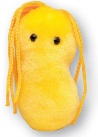 Helicobacter Pylori (Ulcer) Plush Microbe