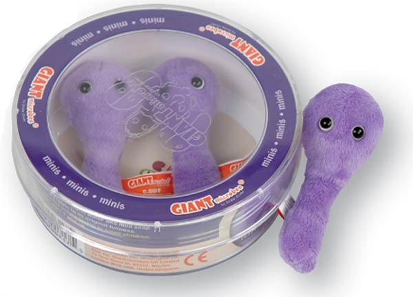Clostridium Difficile (CDIF) Mini Microbe Set - Brevis