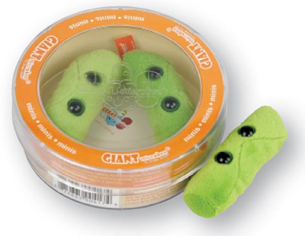 giant microbes tuberculosis